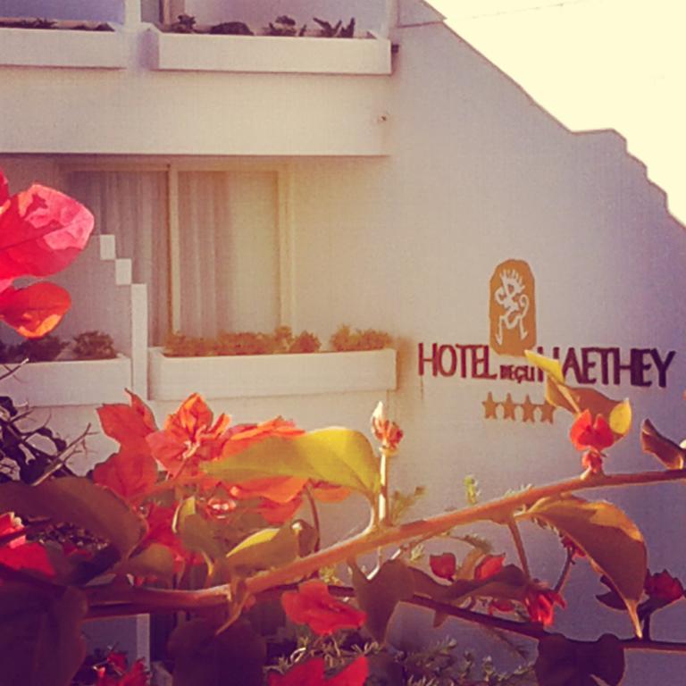 Hotel Degli Haethey Otranto Exteriör bild